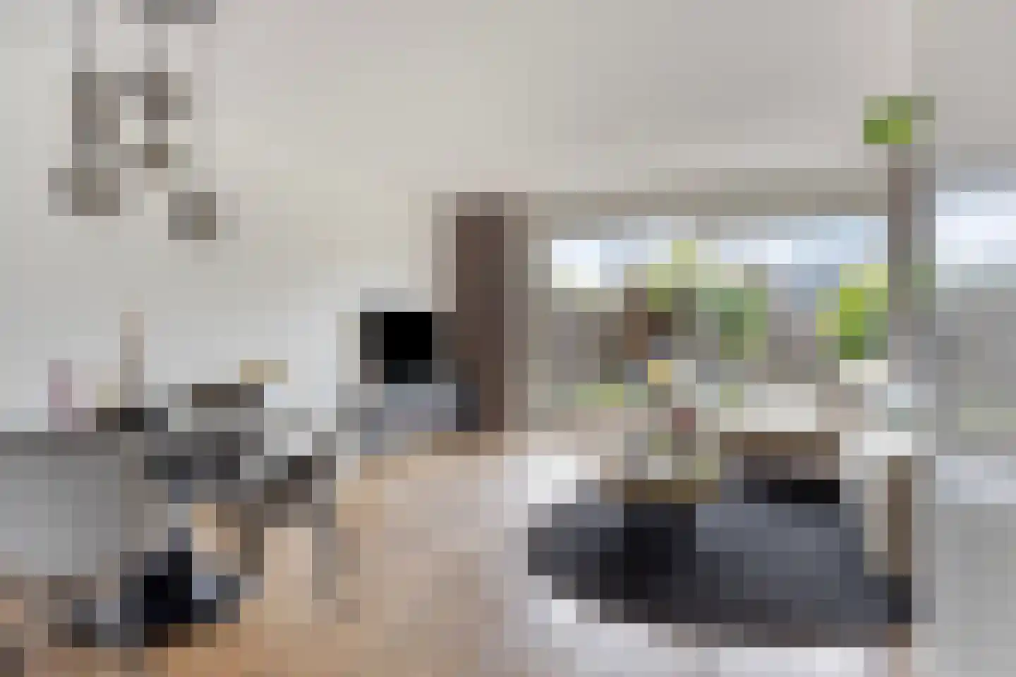 Sleutelbloem 36 Berghem thumbnail 5