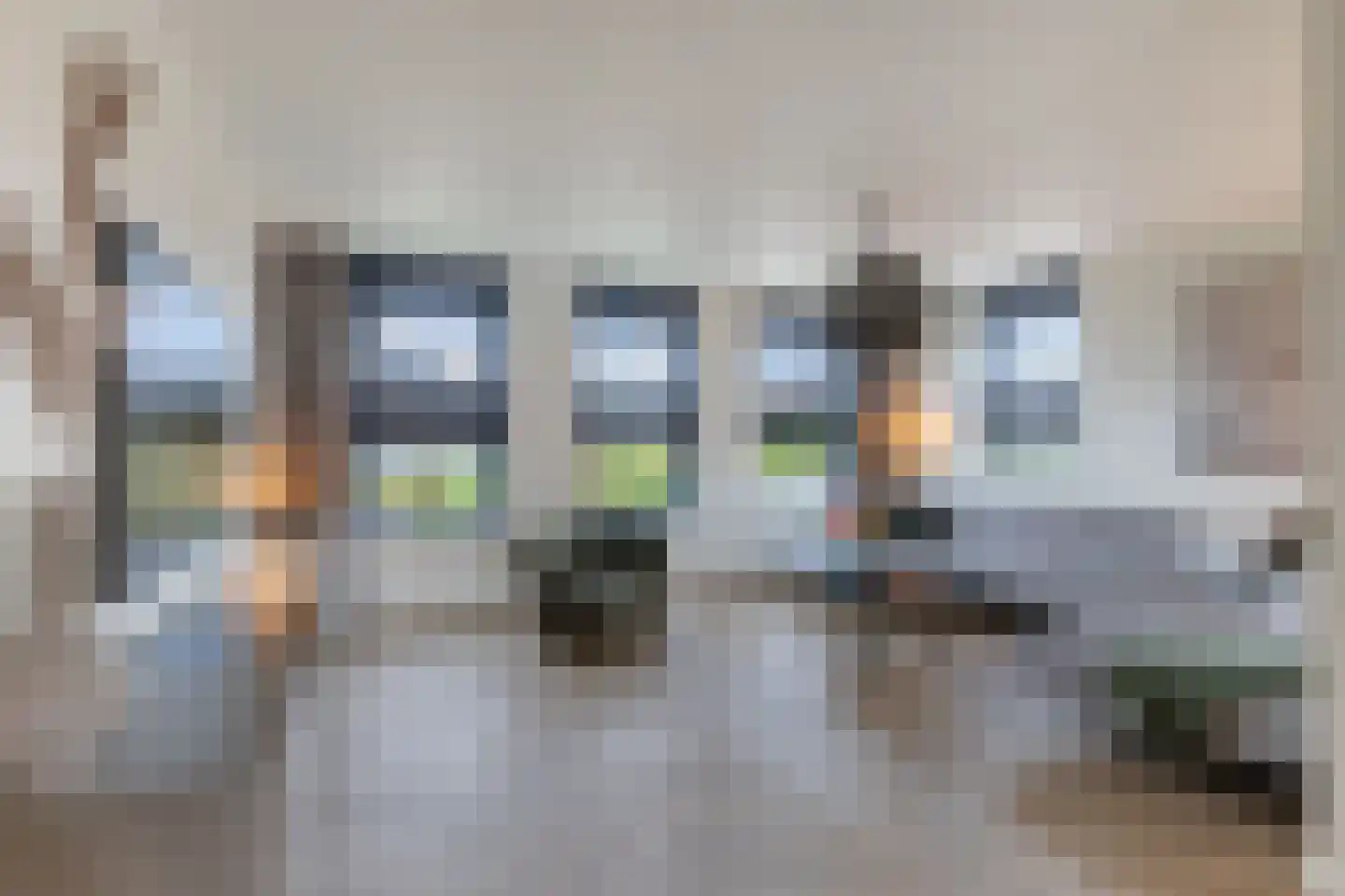 Sleutelbloem 39 Leek thumbnail 13