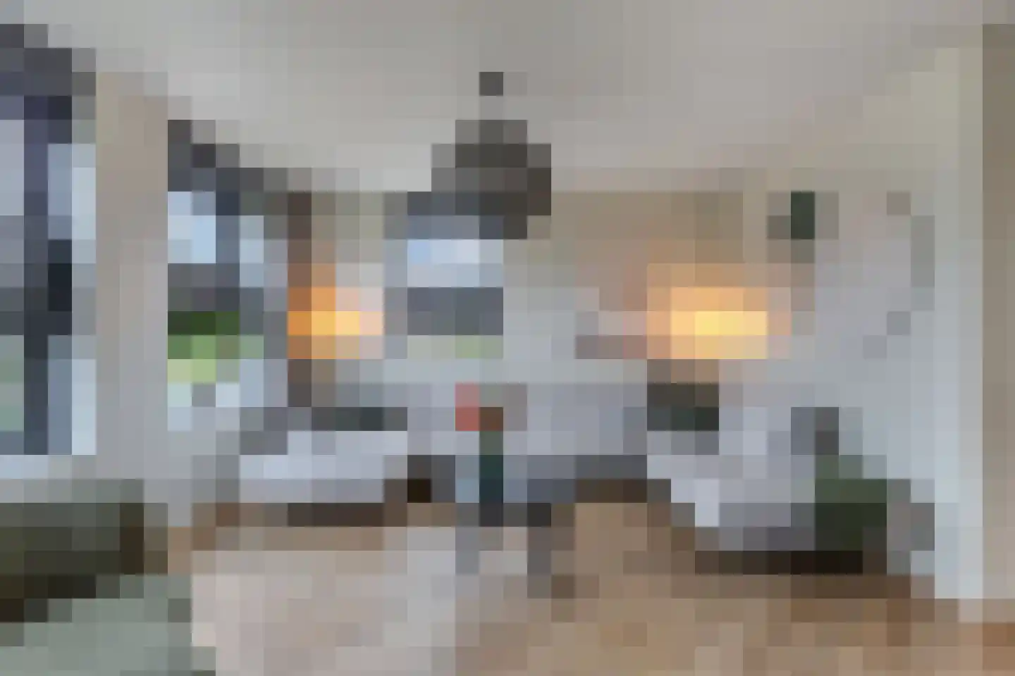 Sleutelbloem 39 Leek thumbnail 14