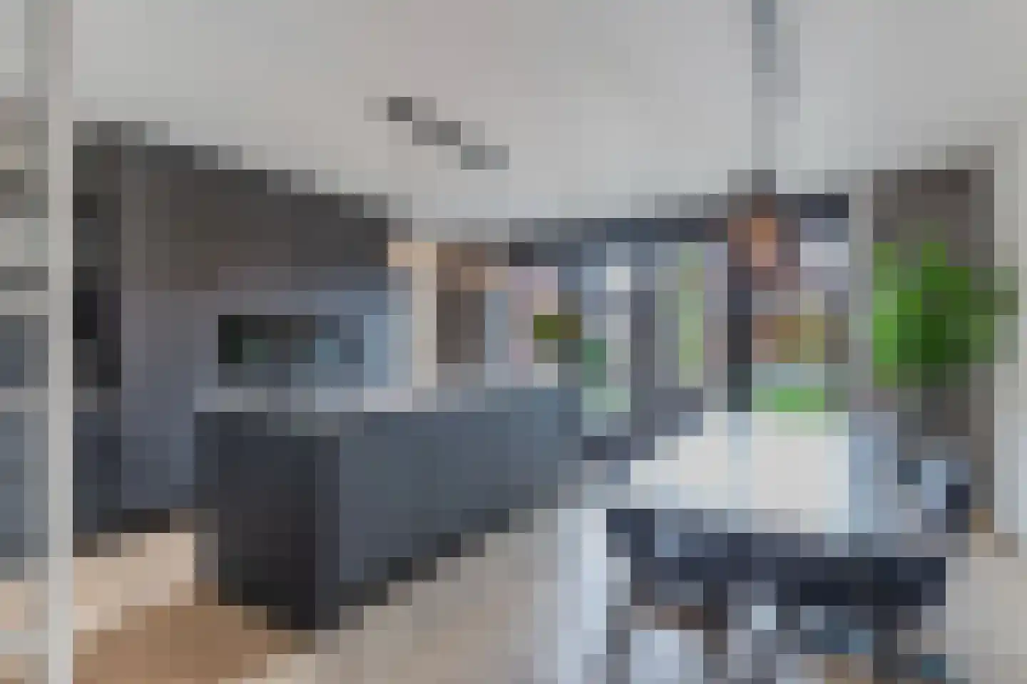 Sleutelbloem 39 Leek thumbnail 19