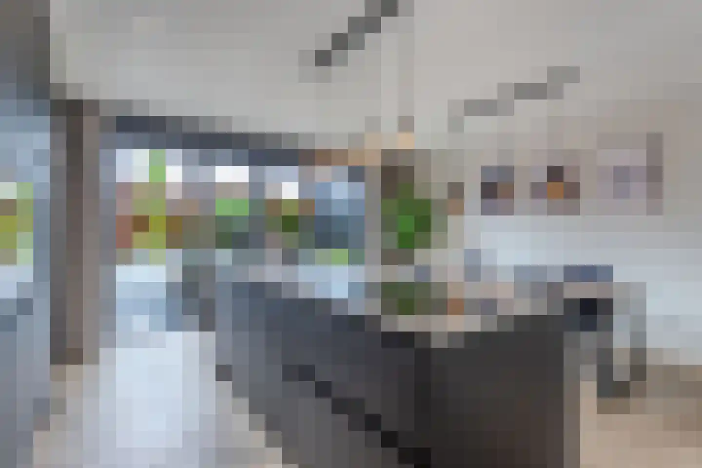 Sleutelbloem 39 Leek thumbnail 23