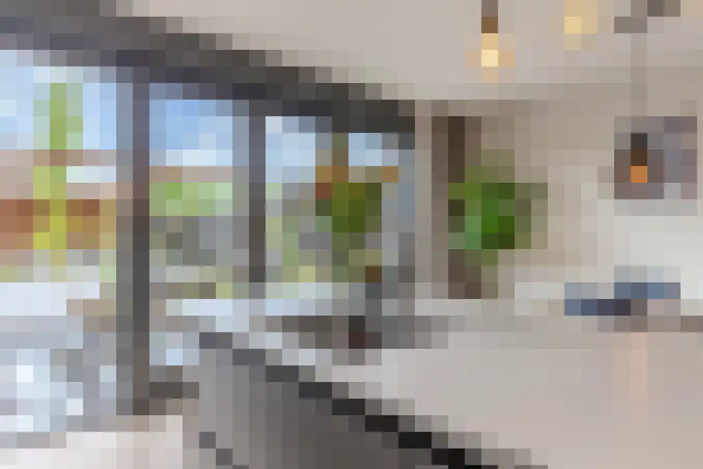 Sleutelbloem 39 Leek thumbnail 24