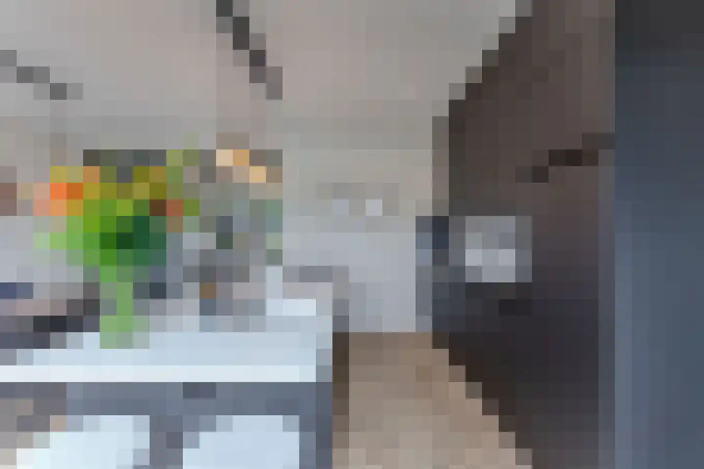 Sleutelbloem 39 Leek thumbnail 27