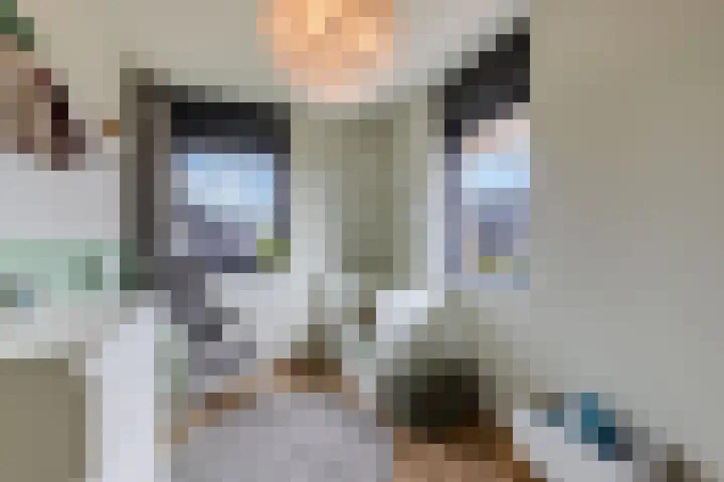 Sleutelbloem 39 Leek thumbnail 38