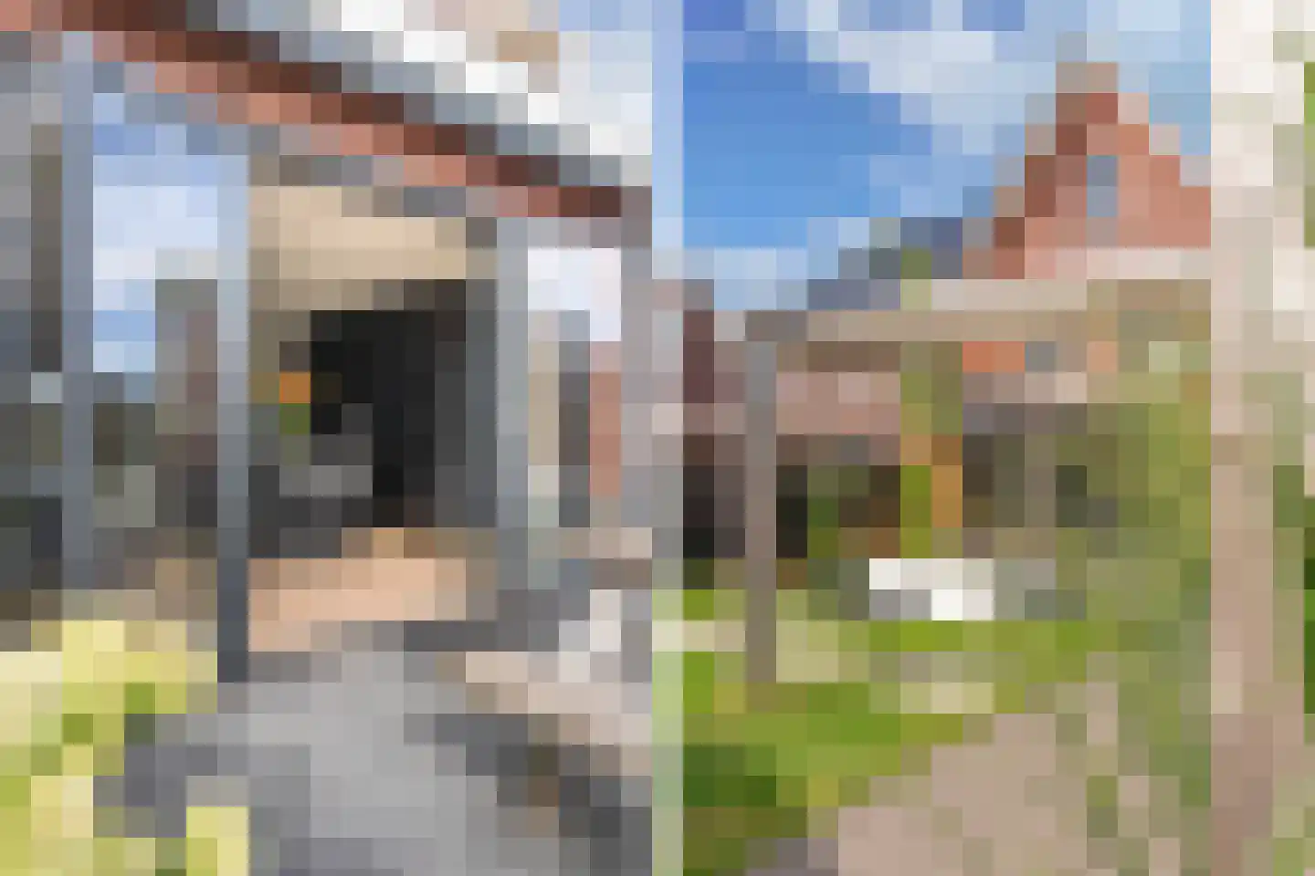 Sleutelbloem 39 Leek thumbnail 48