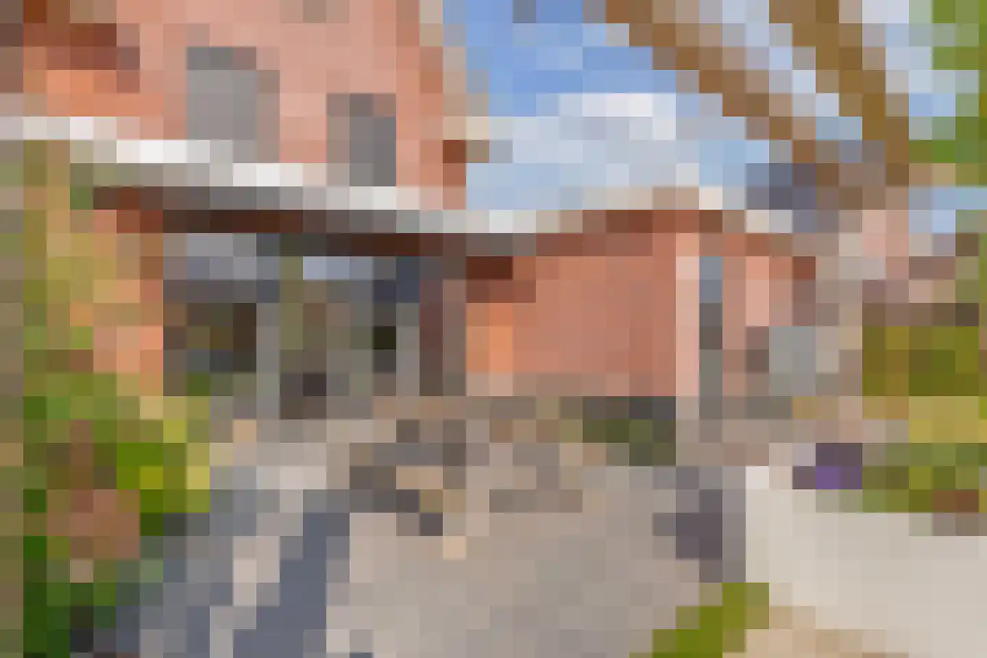 Sleutelbloem 39 Leek thumbnail 49