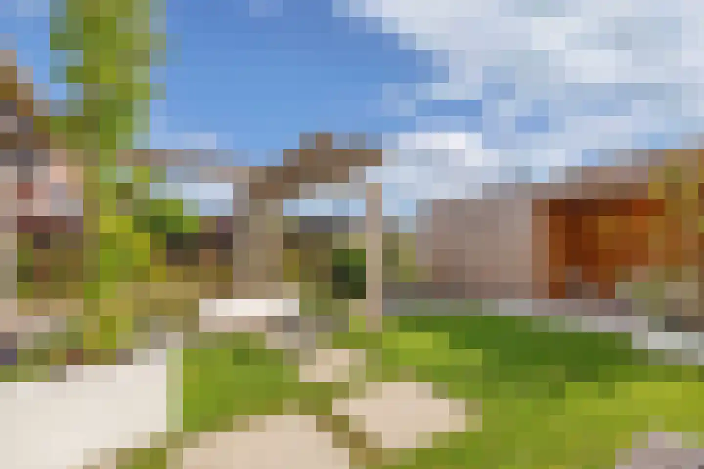 Sleutelbloem 39 Leek thumbnail 50