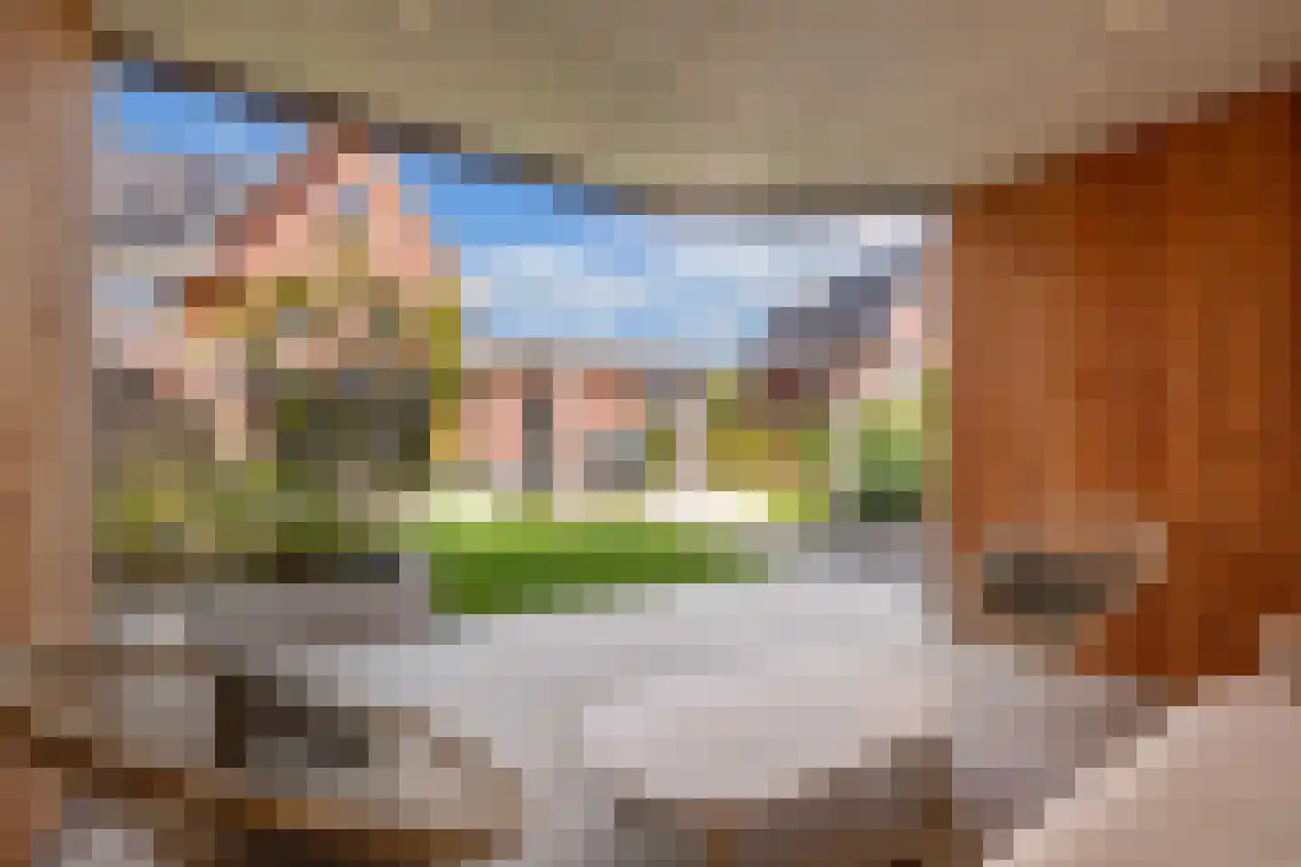 Sleutelbloem 39 Leek thumbnail 52