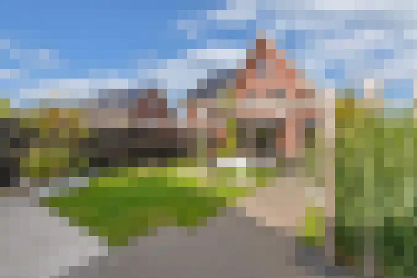 Sleutelbloem 39 Leek thumbnail 54