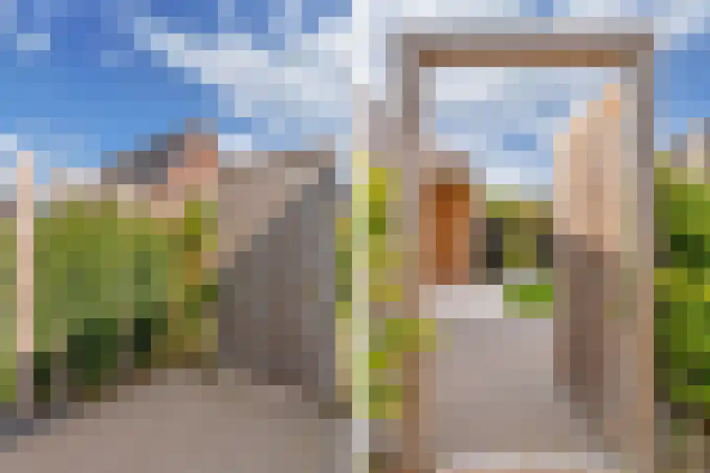 Sleutelbloem 39 Leek thumbnail 55