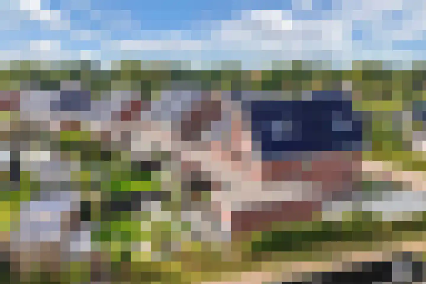 Sleutelbloem 39 Leek thumbnail 57