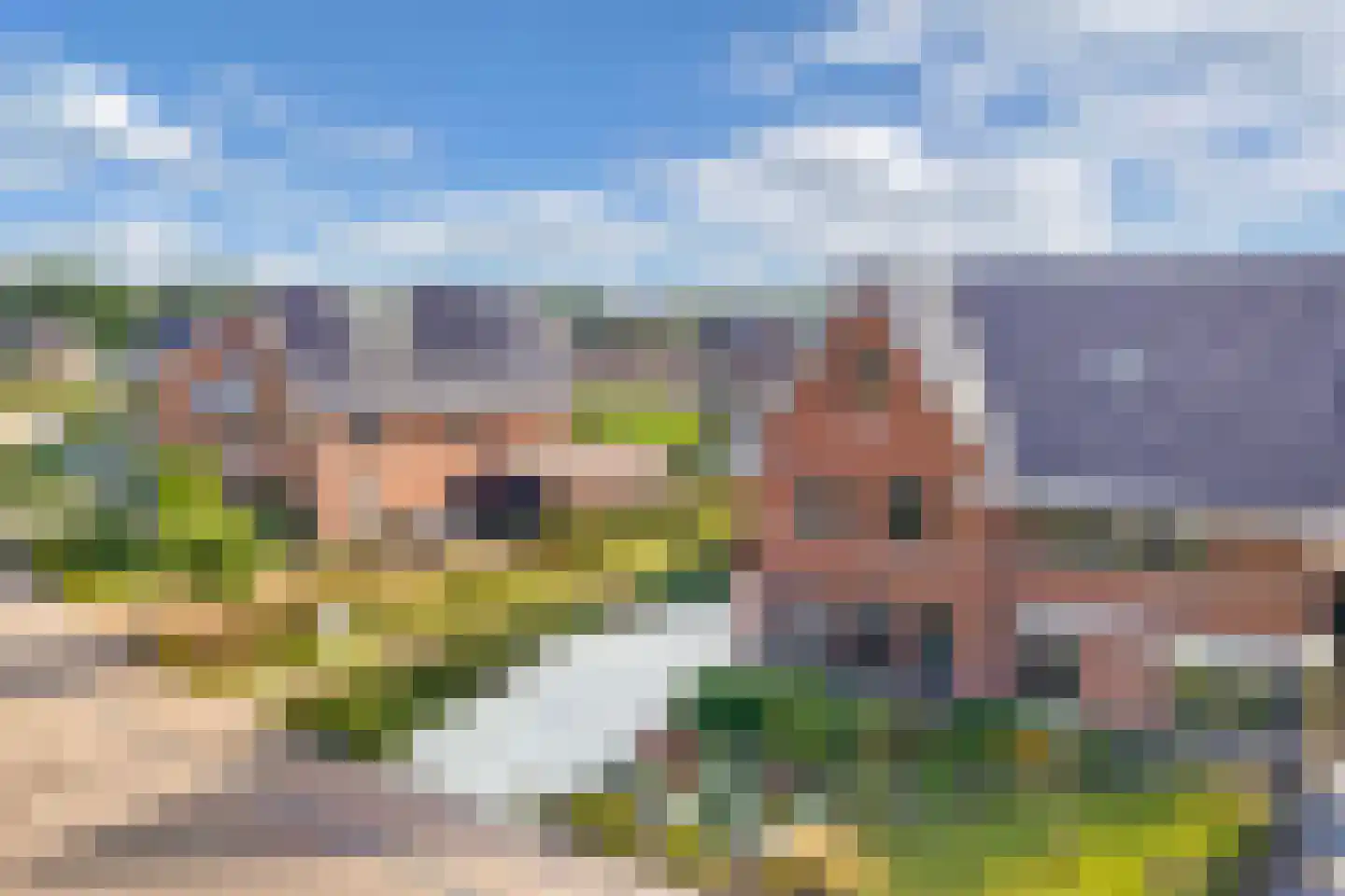 Sleutelbloem 39 Leek thumbnail 58