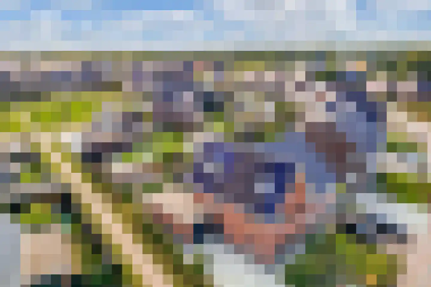 Sleutelbloem 39 Leek thumbnail 6