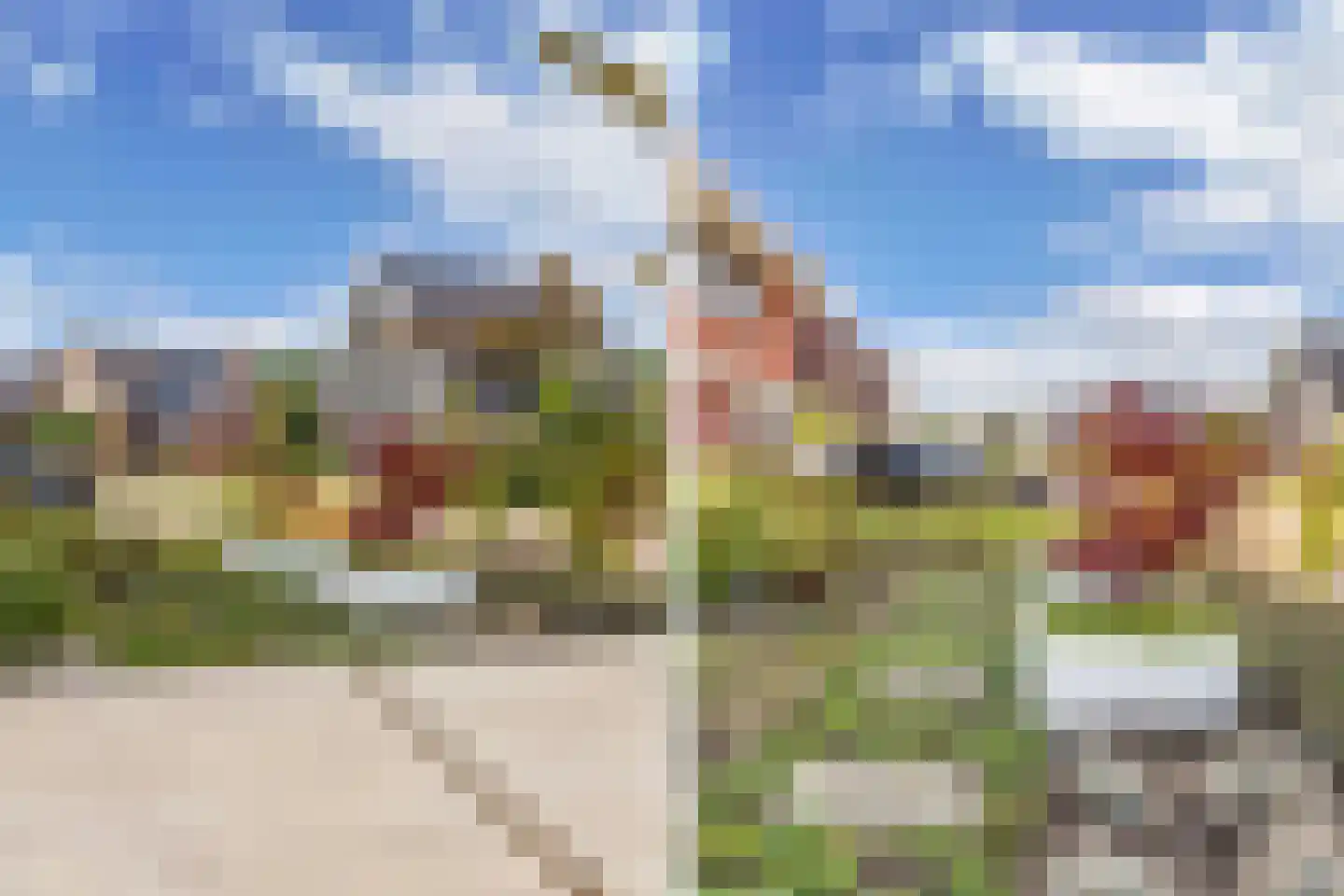 Sleutelbloem 39 Leek thumbnail 60