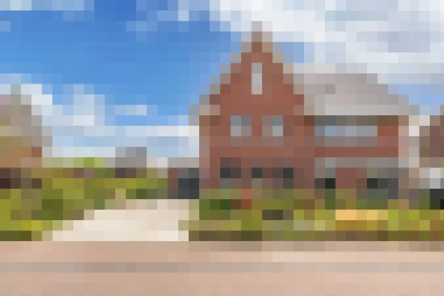 Sleutelbloem 39 Leek thumbnail 7