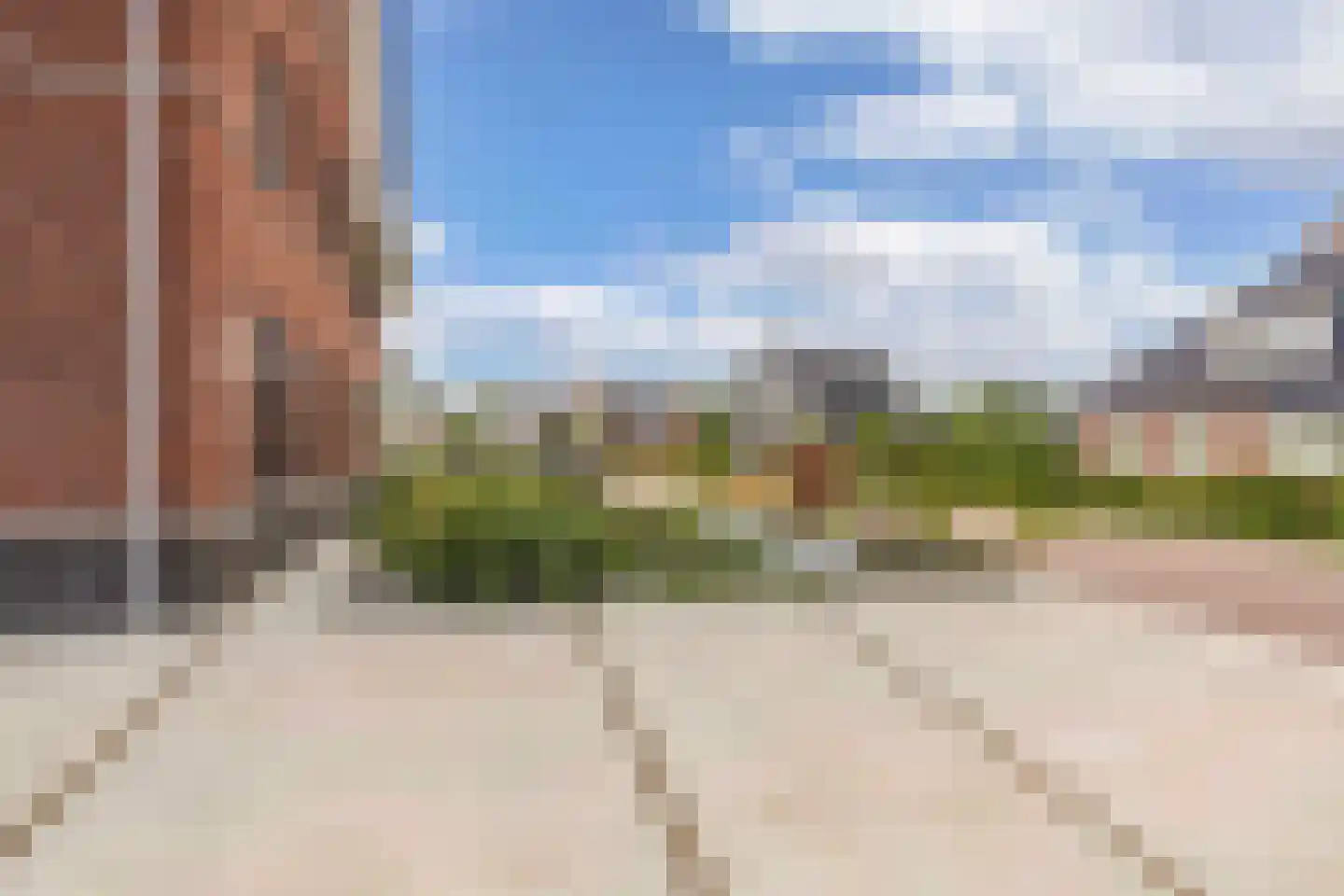 Sleutelbloem 39 Leek thumbnail 8