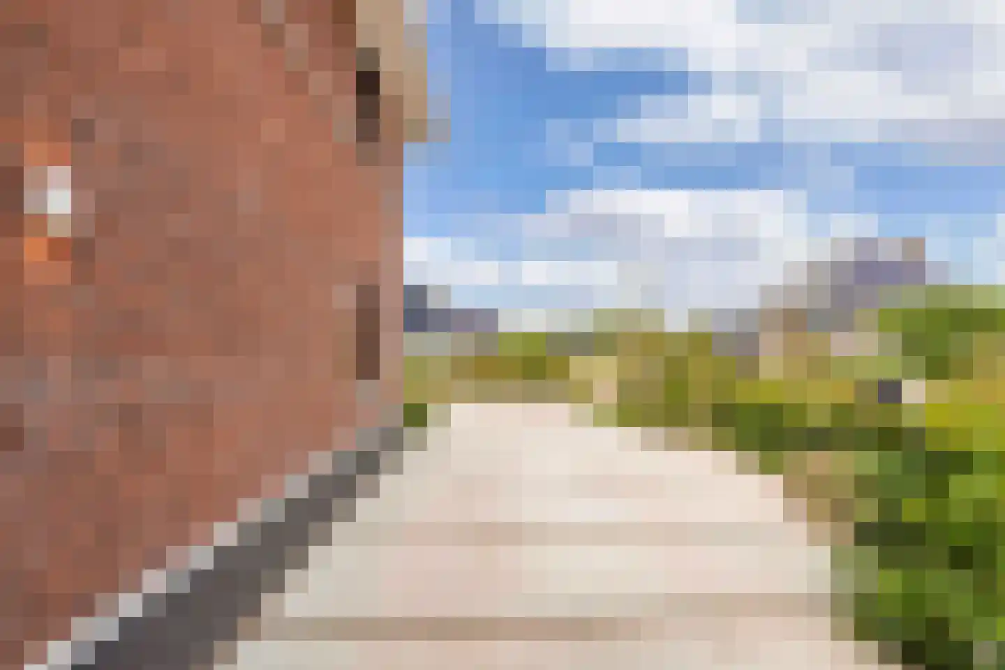 Sleutelbloem 39 Leek thumbnail 9