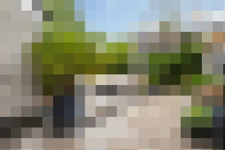 Sleutelbloem 39 Leeuwarden thumbnail 11