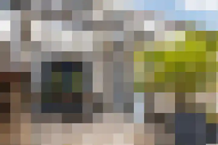 Sleutelbloem 39 Leeuwarden thumbnail 12