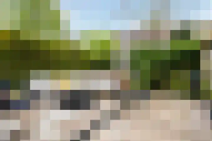 Sleutelbloem 39 Leeuwarden thumbnail 13