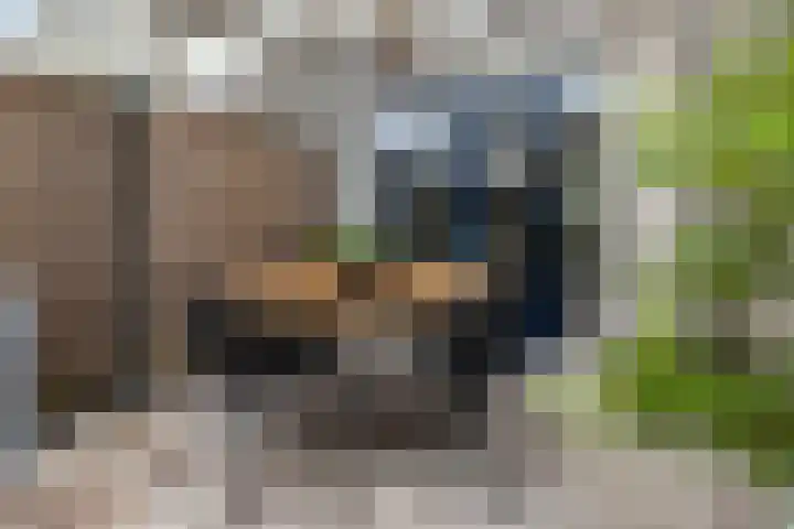 Sleutelbloem 39 Leeuwarden thumbnail 16