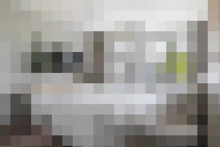 Sleutelbloem 39 Leeuwarden thumbnail 23