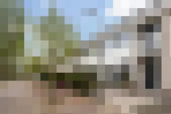 Sleutelbloem 39 Leeuwarden thumbnail 4