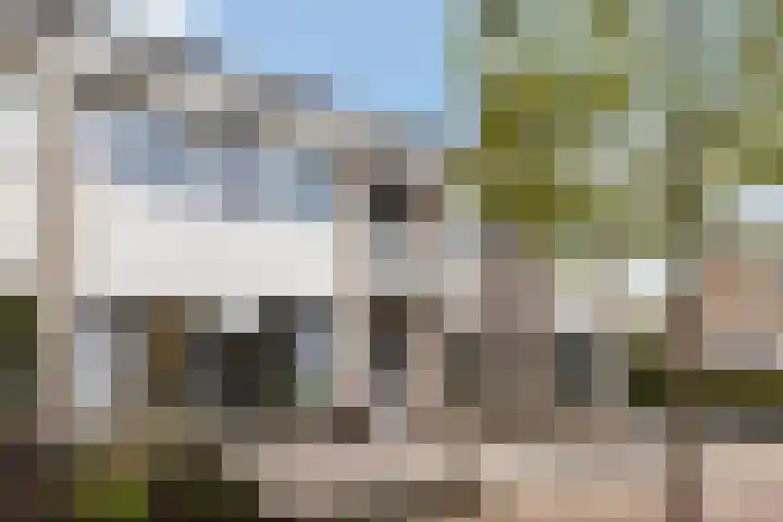 Sleutelbloem 39 Leeuwarden thumbnail 5