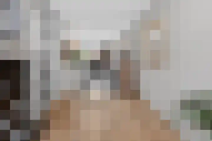 Sleutelbloem 4 Brummen thumbnail 11