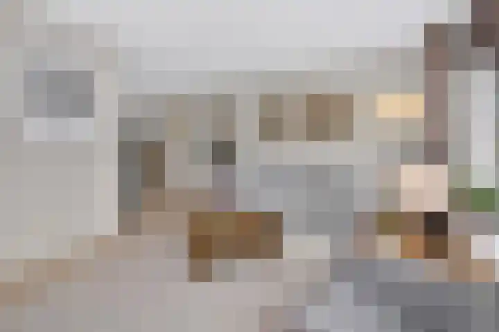 Sleutelbloem 4 Brummen thumbnail 12