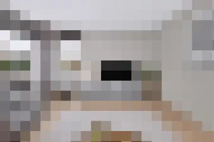 Sleutelbloem 4 Brummen thumbnail 13