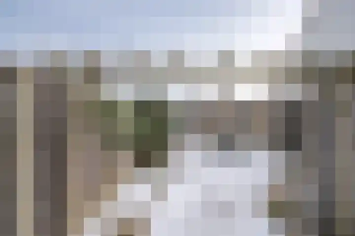 Sleutelbloem 4 Brummen thumbnail 28