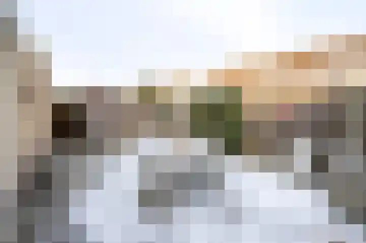 Sleutelbloem 4 Brummen thumbnail 30