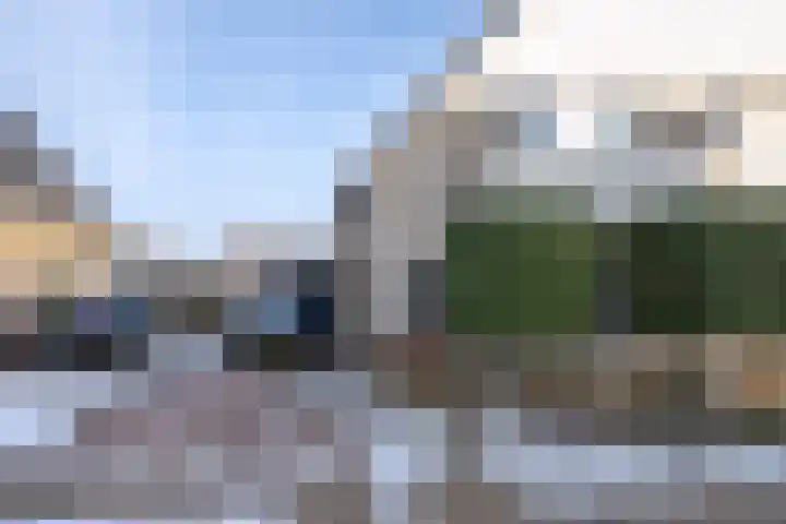 Sleutelbloem 4 Brummen thumbnail 33