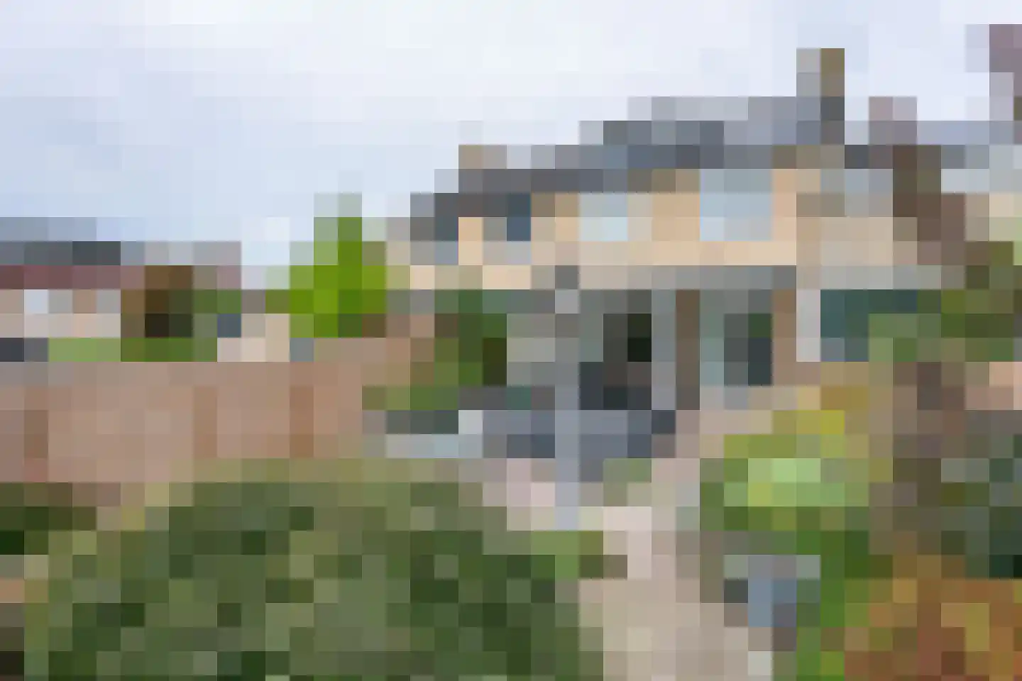 Sleutelbloem 4 Brunssum thumbnail 30