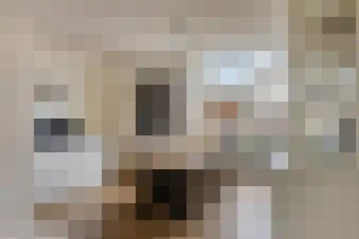Sleutelbloem 4 Haaren thumbnail 10