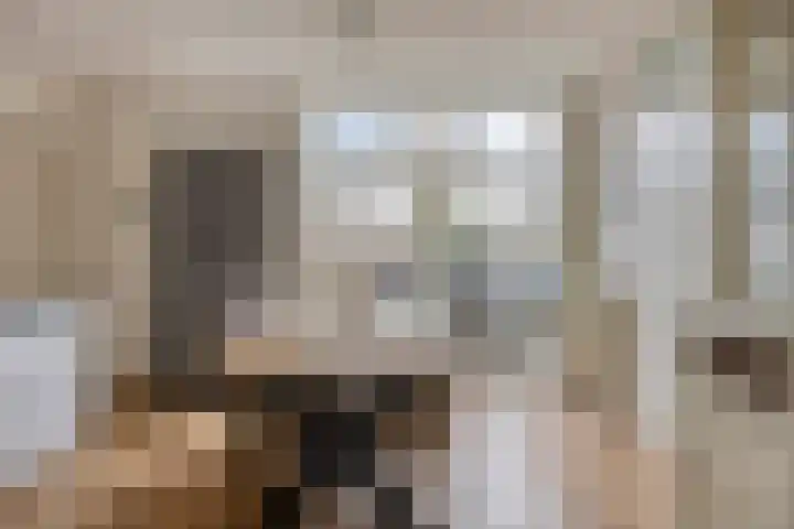 Sleutelbloem 4 Haaren thumbnail 11