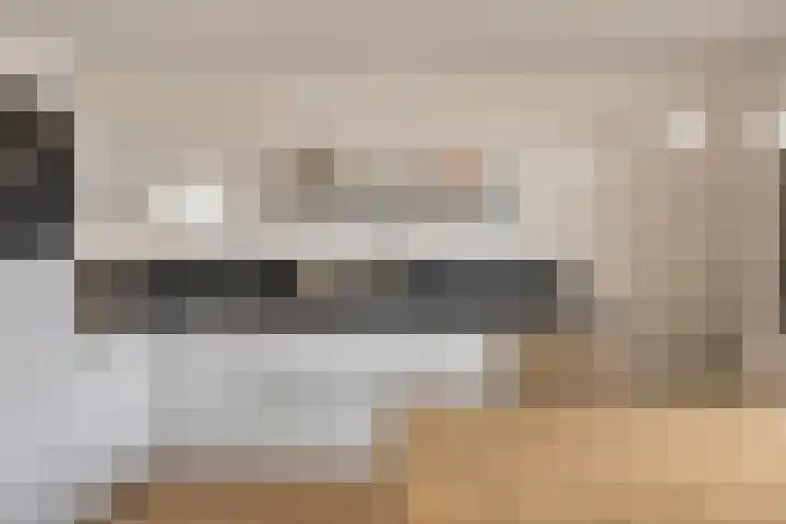 Sleutelbloem 4 Haaren thumbnail 13