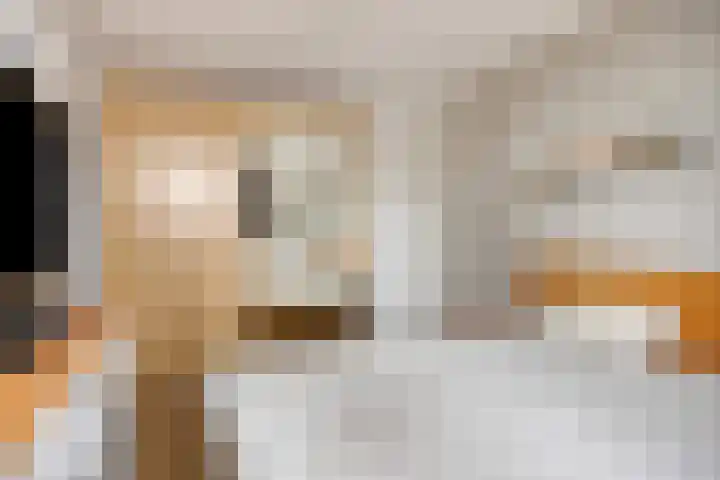 Sleutelbloem 4 Haaren thumbnail 17
