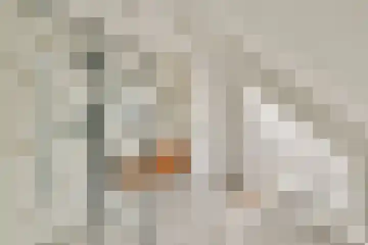 Sleutelbloem 4 Haaren thumbnail 25