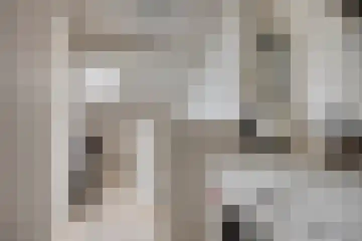 Sleutelbloem 4 Haaren thumbnail 25