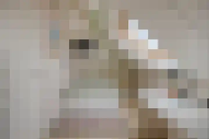 Sleutelbloem 4 Haaren thumbnail 27