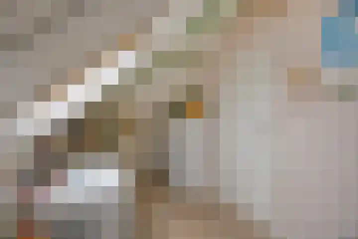 Sleutelbloem 4 Haaren thumbnail 28
