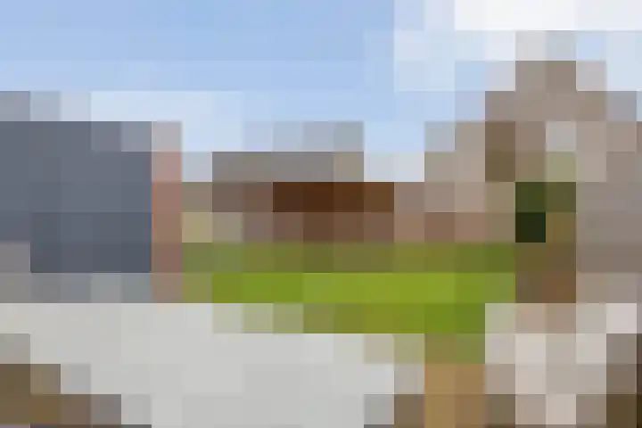 Sleutelbloem 4 Haaren thumbnail 30