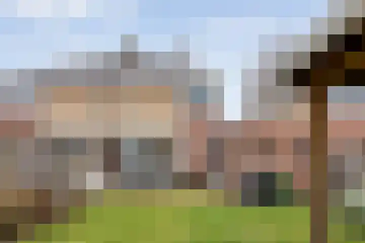 Sleutelbloem 4 Haaren thumbnail 32