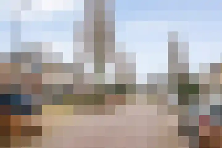 Sleutelbloem 4 Haaren thumbnail 33