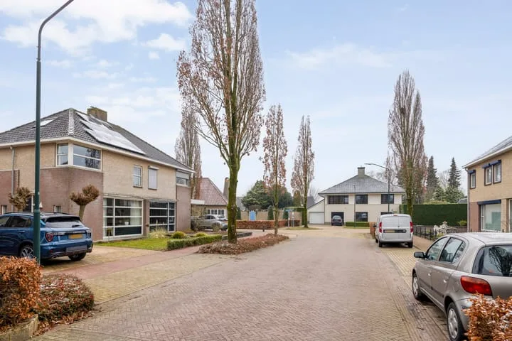 Sleutelbloem 4 Haaren thumbnail 33