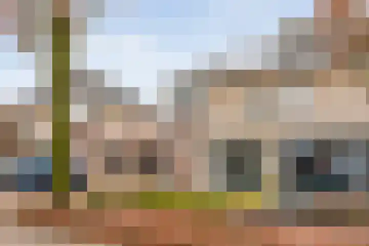 Sleutelbloem 4 Haaren thumbnail 34
