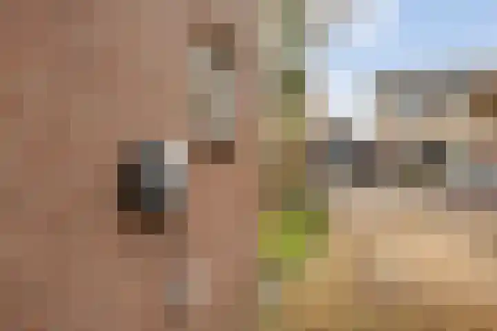 Sleutelbloem 4 Haaren thumbnail 35