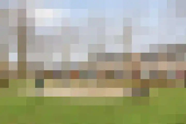 Sleutelbloem 4 Haaren thumbnail 36